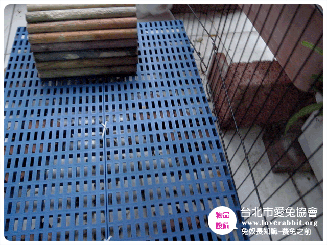 (圖框)兔知識_養兔之前-8.gif