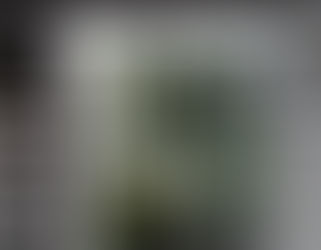 Windowsill Spring Bloom