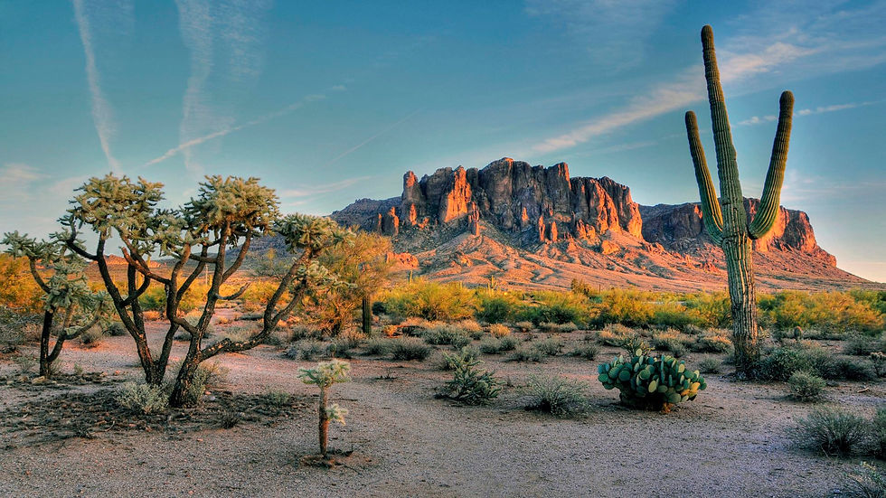 Superstition-Mountains-Mountain-Range-in-Field-Phoenix-Arizona-USA-Landscape-Desert-Landsc
