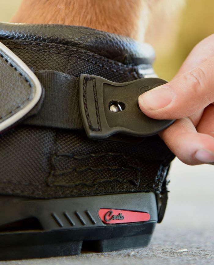 Miniature : Fermeture Velcro industrielle Cavallo Sport Boot