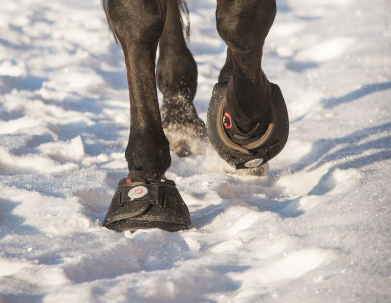 Miniature : Protège paturon