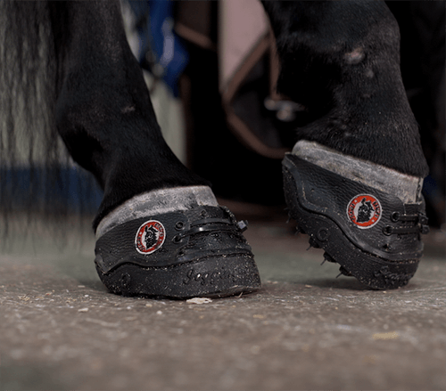 Cheval équipé d’une 24/7 Jogging Shoe pour usage permanent