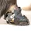 Miniature : Guêtres hybrides Scoot Boots – pack de 2