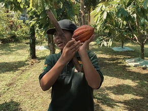 From Seed to Sweetness: Comprehensive Procedures for Cocoa Processing