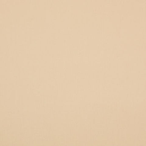 IMG_3260.jpeg