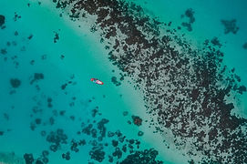 Aerial Photo of an Ocean