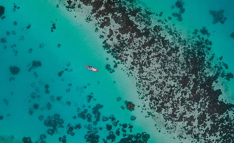 海の航空写真
