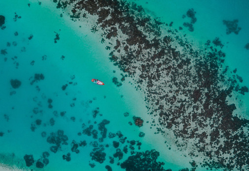 Aerial Photo of an Ocean