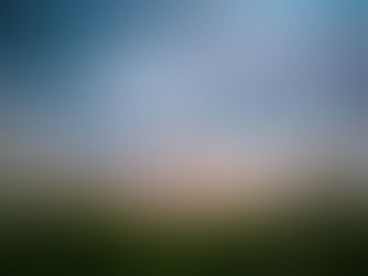 lily g | senior session