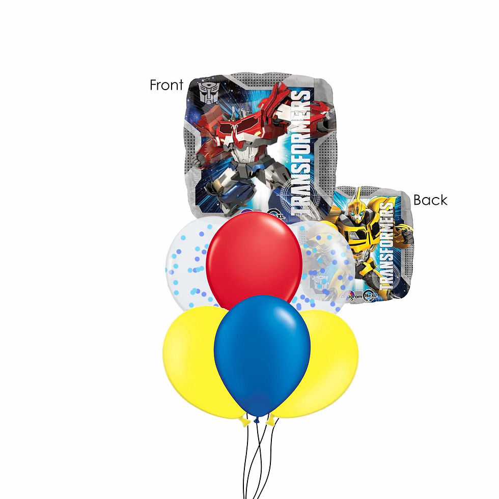 Transformers Cluster