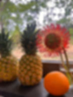 image00003.jpeg