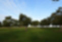 DSC_5911_00001-min.jpg