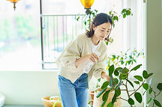 植物