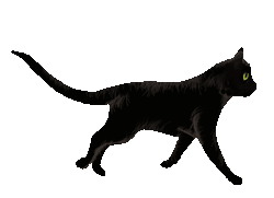 1ccbd5fe1ed68929e689ac17c13d8cbd_image-c