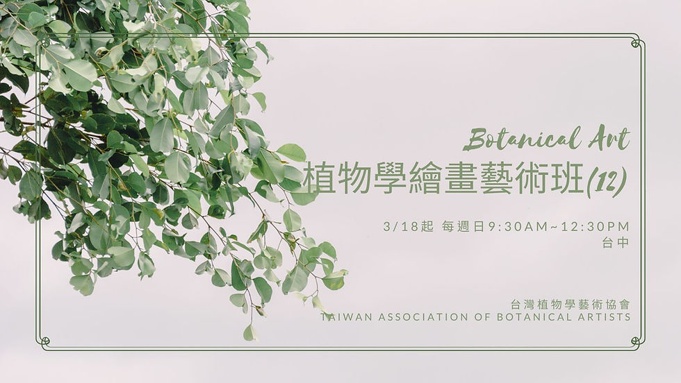 植物學繪畫藝術基礎班第12班