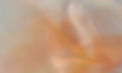 Soultribe-creation-Soulbusiness-Gruppenmentoring