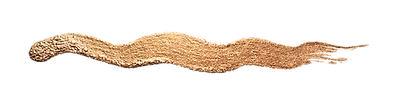 Golden Brush_edited.png
