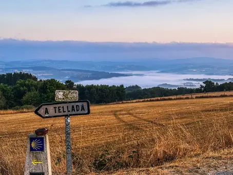 A coin toss that led to a 779 km hike: my Camino Frances journey in 26 days