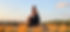 20241030_165825.jpg