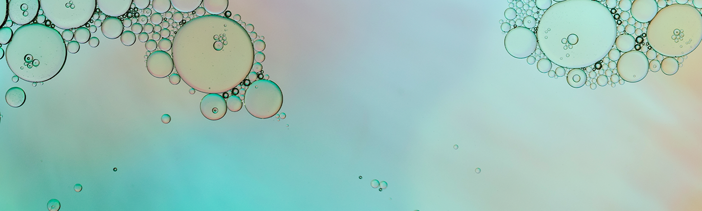 picture-plant-with-name-name-artist 1.png