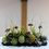 Thumbnail: Long black tablescape