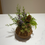 Thumbnail: Small Sapa pod 2 arrangement