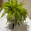 Thumbnail: Mini arrangement 