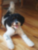Murphey.jpeg