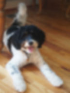 Murphey.jpeg