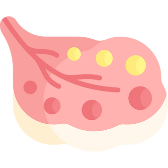 ovaire_edited.png