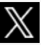 X (Twitter)