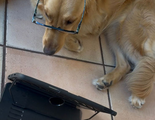 sage reading_edited.jpg