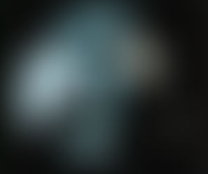 Xenotrasplantes, una luz al final del túnel