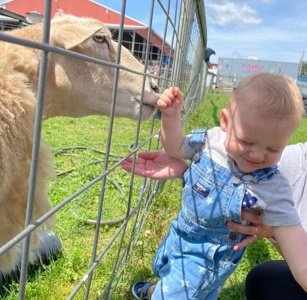 Bowman Farm Animals.jpeg