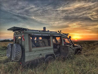 Sunrise Game Drive
