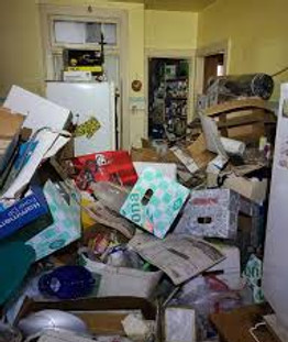 Tamarac hoarder-cleanup  | Damion & Kids Trucking & More
