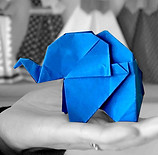 STUDIORIGAMI Sayaka Hodoshima_edited.jpg