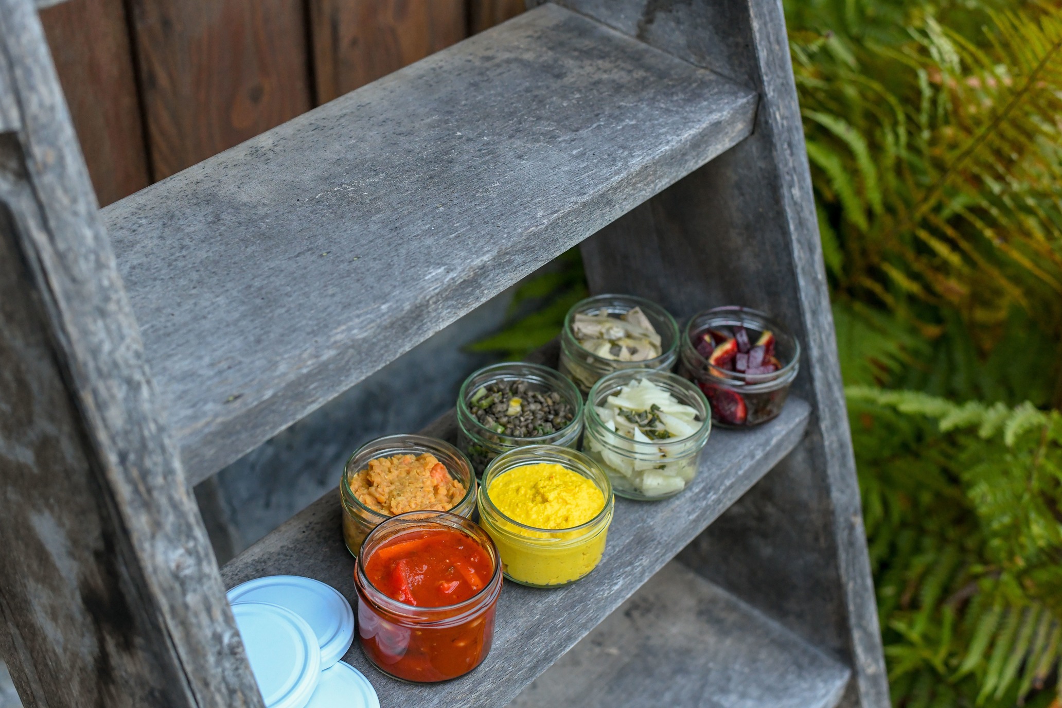 Arranged Food and Objects