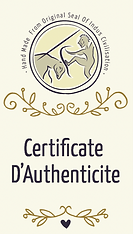 ichl_certificate_v1.png
