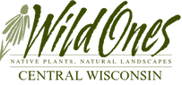 central-wisconsin.png