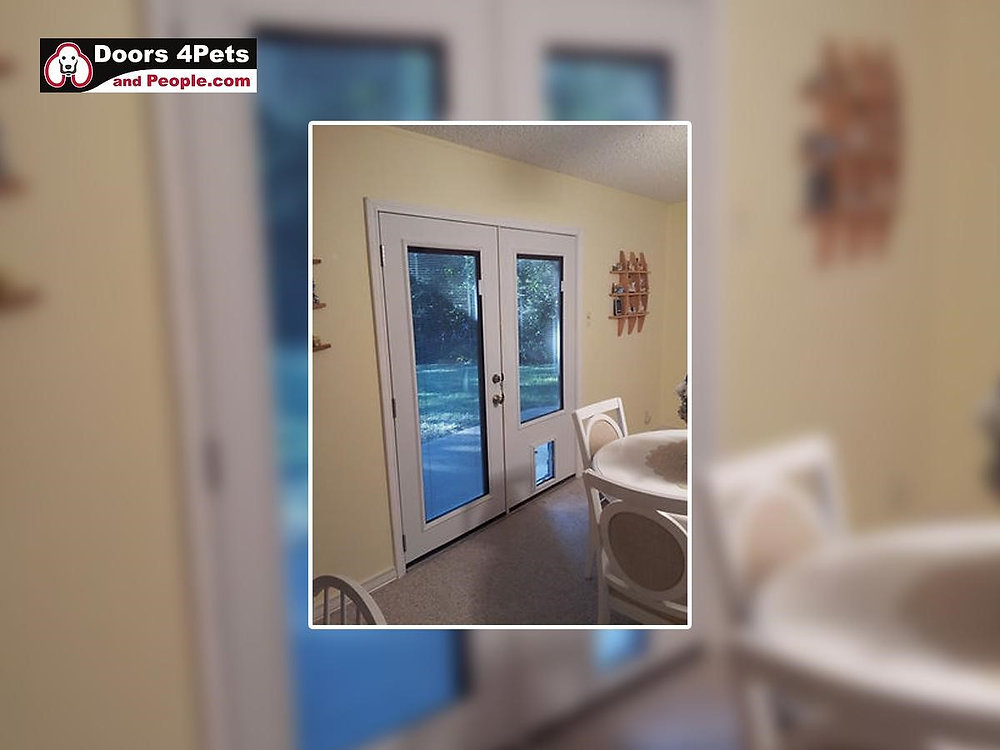 Design a PetFriendly Home with a French Door with a Doggie Door