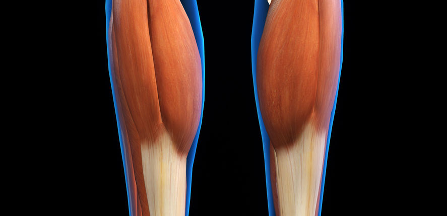 iStock-903441336.jpg