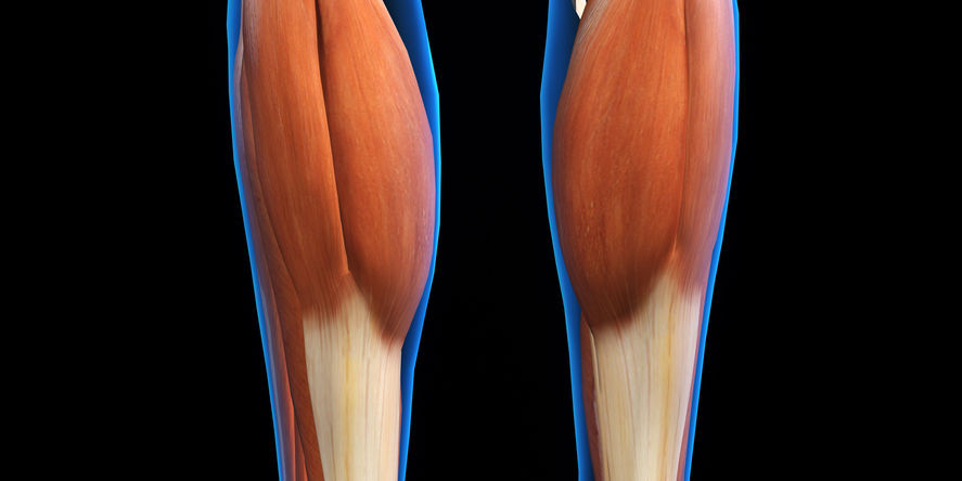 iStock-903441336.jpg
