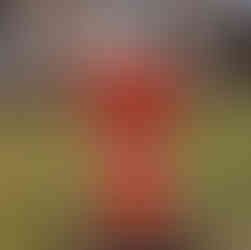 wooden santa decoration outside of front of house