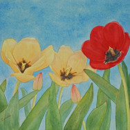 "Red And Yellow Tulips"