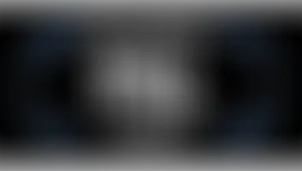 Ok PAL - Listen up!
Perception-Action Loops (PALs) instead of techniques.