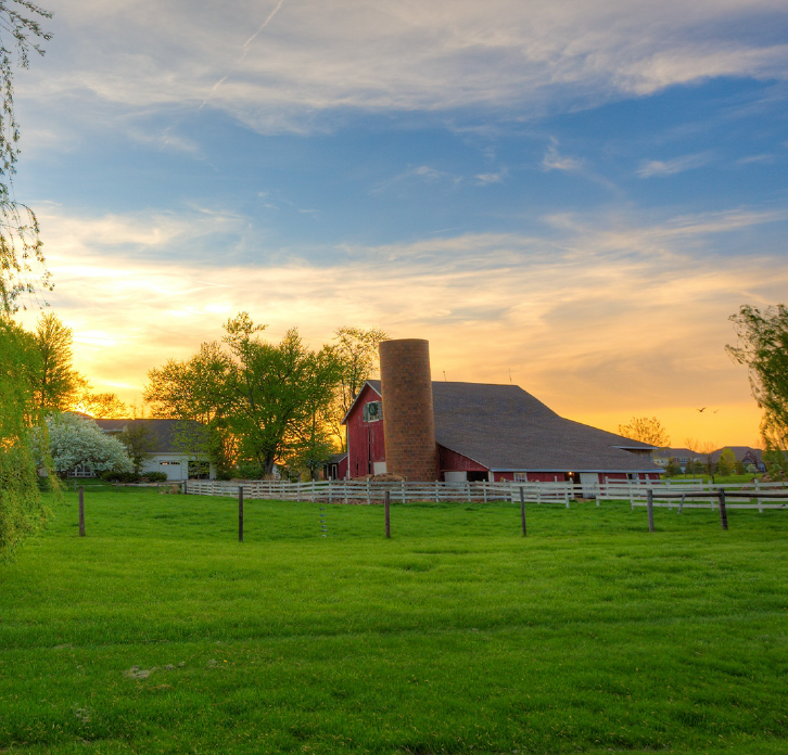 IN Farm