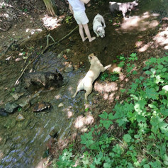 IMG-20190623-WA0299.jpg