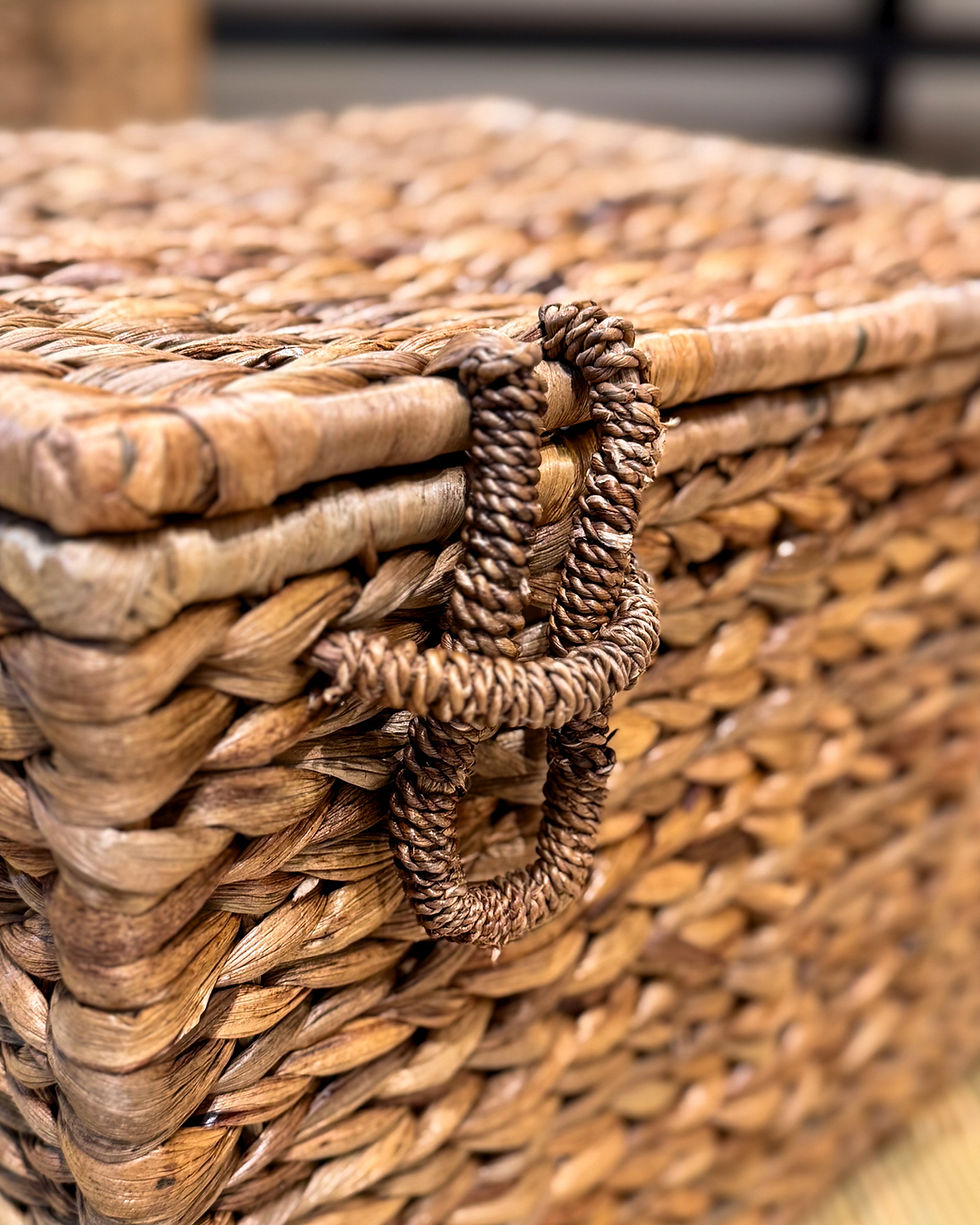 Thumbnail: Utility Box Water Hyacinth