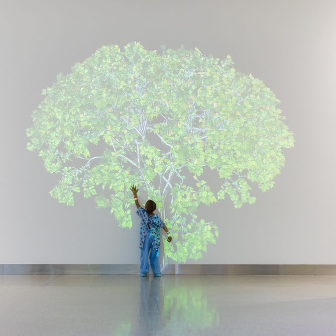 Cleveland Clinic Center for Medical Art - Projeção computadorizada de imagens com aspectos de Design Biofílico  - Jennifer Steinkamp (2007).